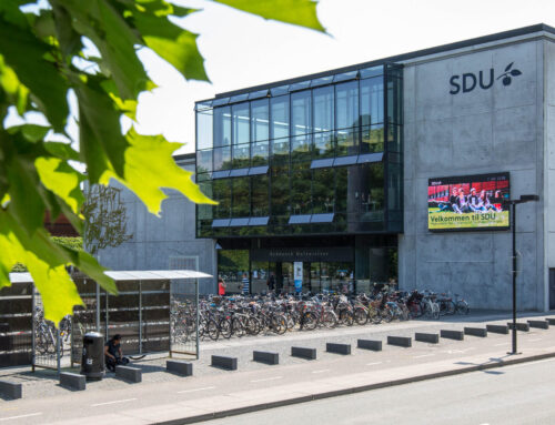 University of Southern Denmark: First Job Guarantee Initiative