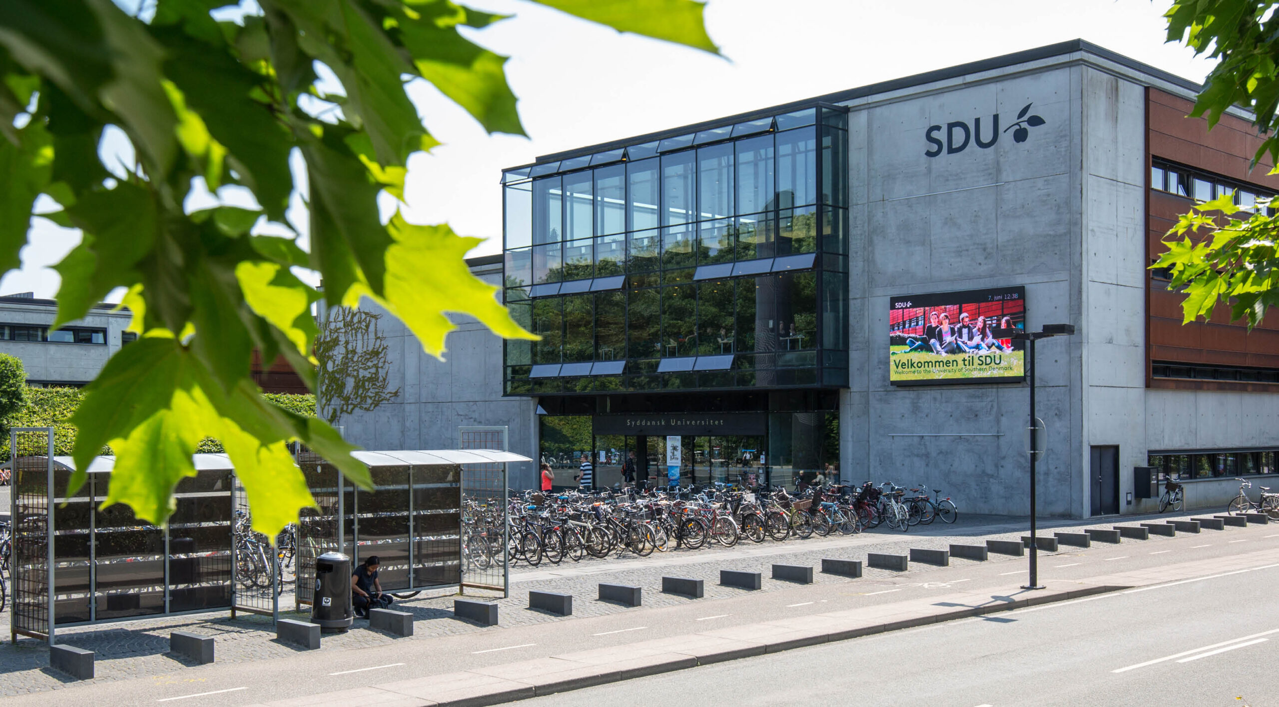 University of Southern Denmark: First Job Guarantee Initiative : IE Abroad